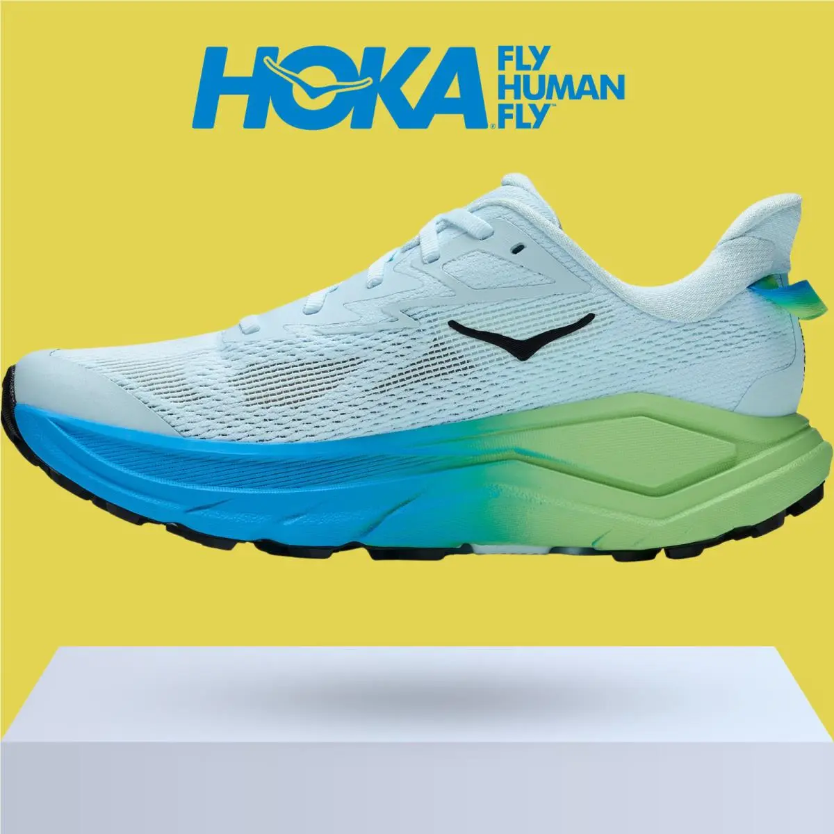 Hoka shoes - Hoka One One Challenger 8 - Ambient Blue/Blueberry 35