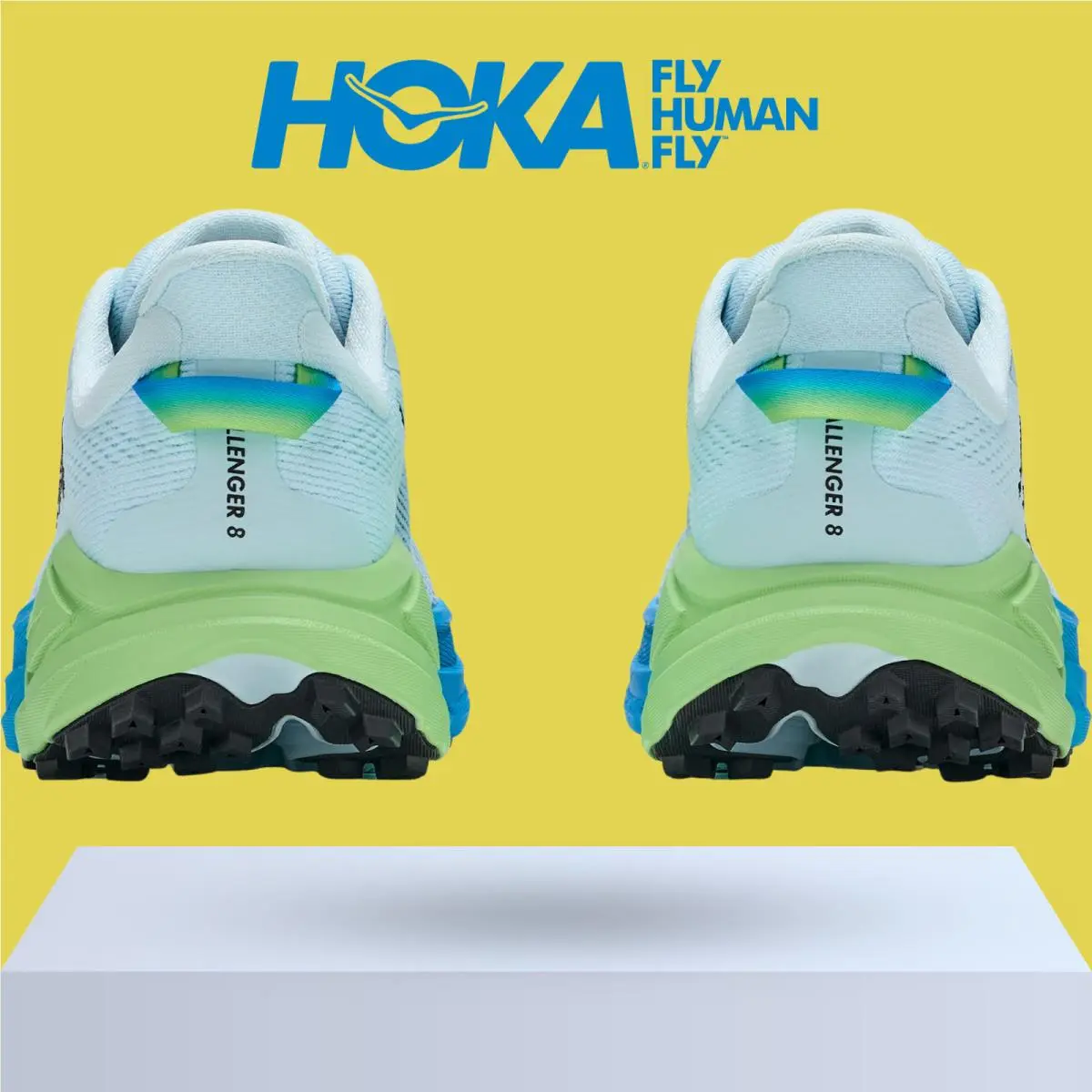 Hoka shoes - Hoka One One Challenger 8 - Ambient Blue/Blueberry 36