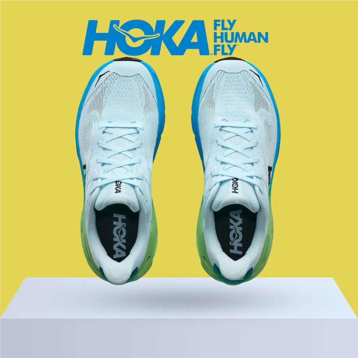 Hoka shoes - Hoka One One Challenger 8 - Ambient Blue/Blueberry 37