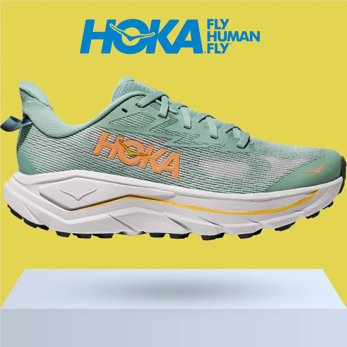 Hoka shoes - Hoka One One Challenger 8 - Ambient Blue/Blueberry 39