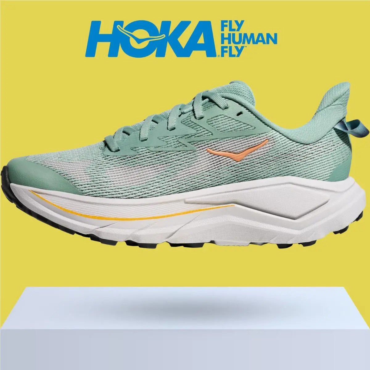 Hoka shoes - Hoka One One Challenger 8 - Ambient Blue/Blueberry 40