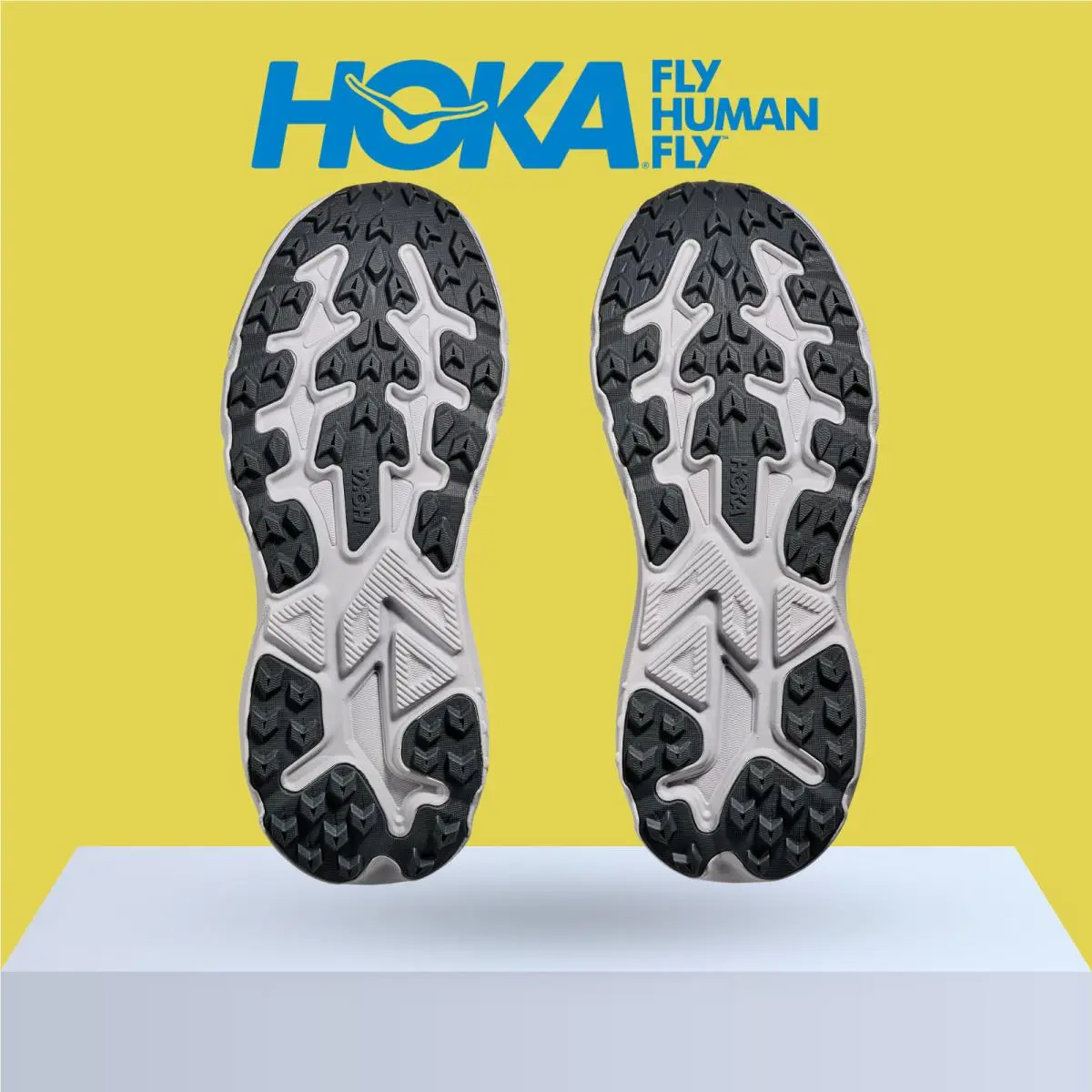 Hoka shoes - Hoka One One Challenger 8 - Ambient Blue/Blueberry 43