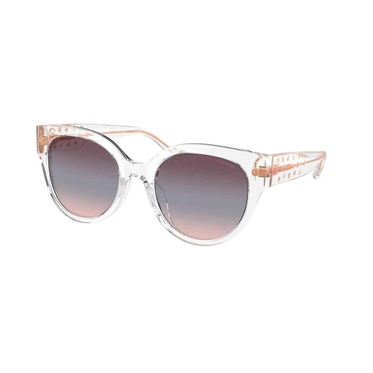 Coach HC 8393 U Cr612 Transparent Clear Purple 51110J Size 53 Sunglasses