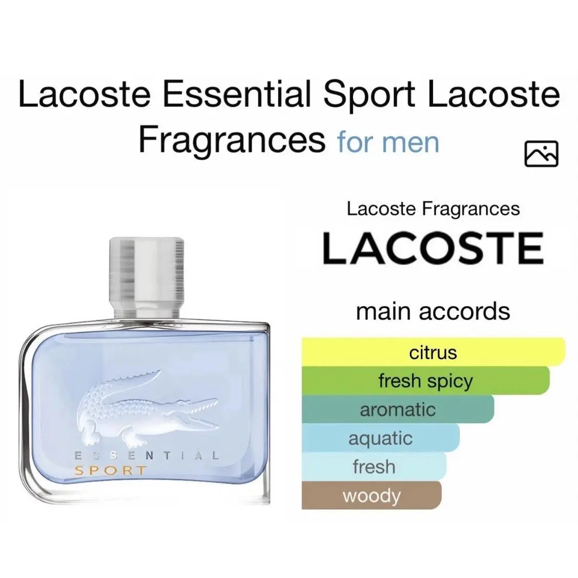 Men  Essential Sport 4.2 oz-125ml Edt Spray / / /rare by Lacoste