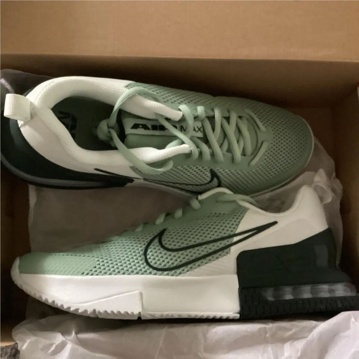 Nike shoes - Nike Air Max Alpha Trainer 6 - FQ1833-015 - Steam Spruce 1