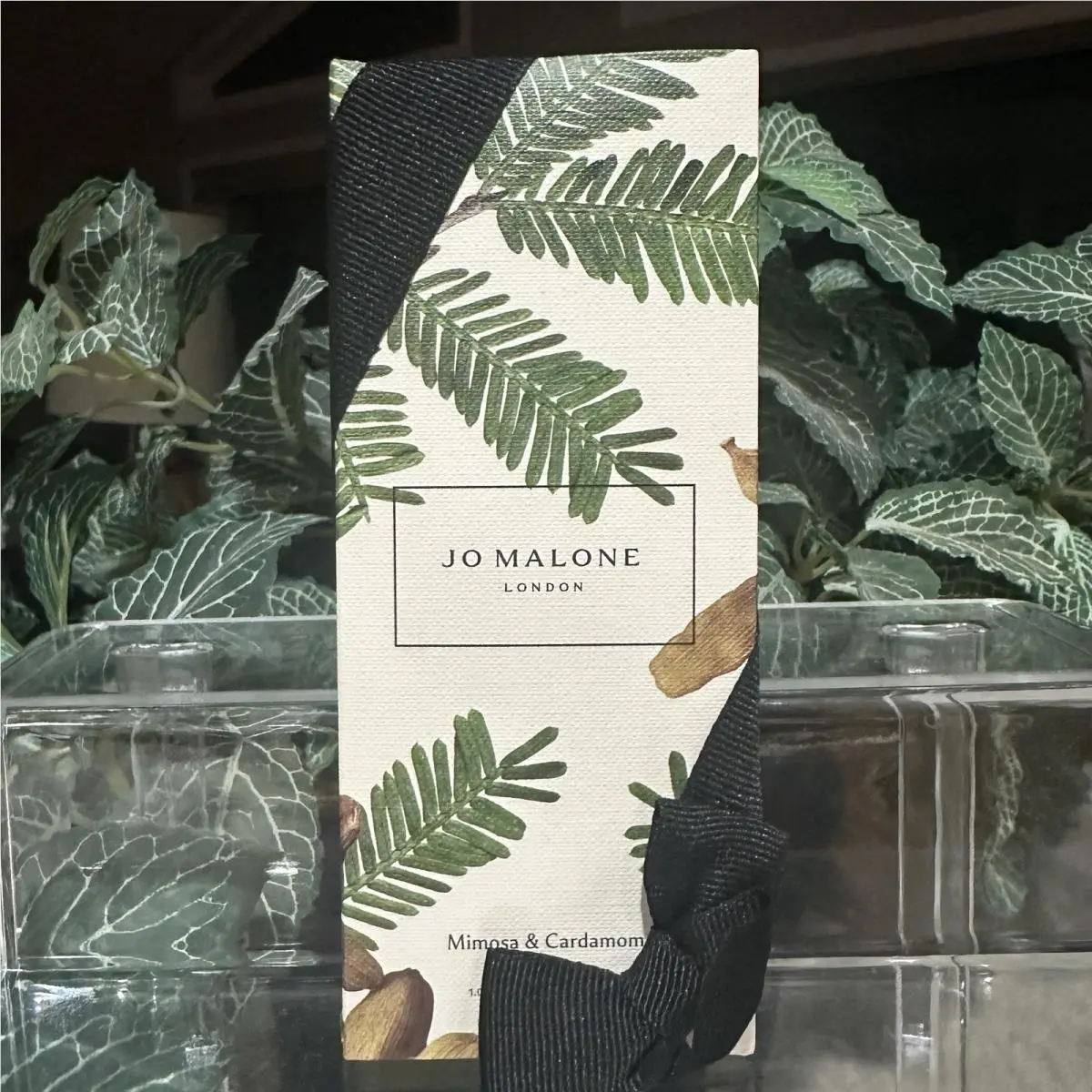 London Mimosa Cardamon Eau de Cologne Spray 1 fl oz by Jo Malone
