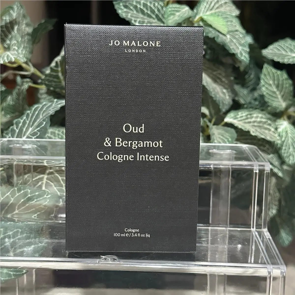 Oud Bergamot Intense  For Unisex - 3.4 Fl oz Cologne Spray by Jo Malone
