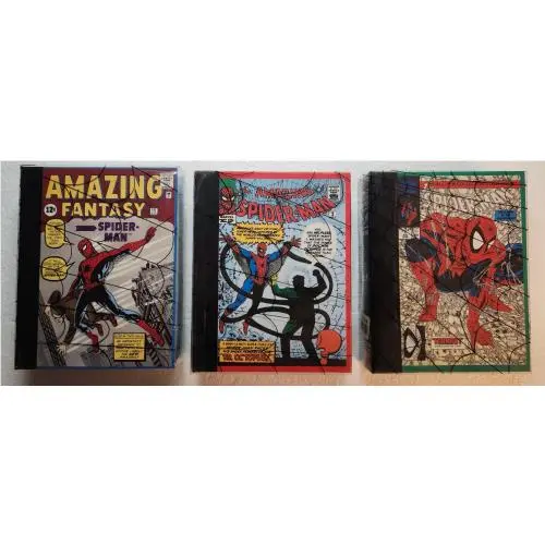 Spider-man  1994 Limited Edition Collector Watch Set Vol 1 2 3 Cmplete Ex+ by Fossil