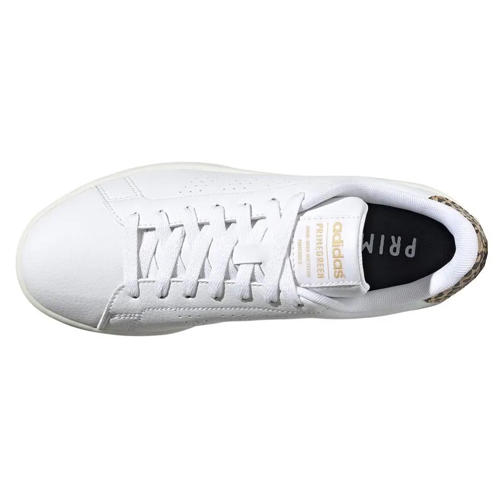 Adidas shoes - adidas Advantage - Advantage - GW4850 - White 2