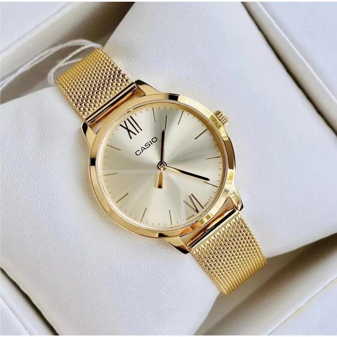 Casio LTP-E157MG-9A Gold Tone Mesh Stainless Steel Analog Ladies Casual Watch