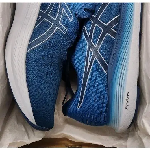 Asics shoes - ASICS EvoRide 2 - EvoRide - Blue 2