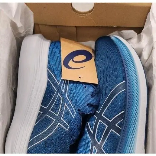Asics shoes - ASICS EvoRide 2 - EvoRide - Blue 3