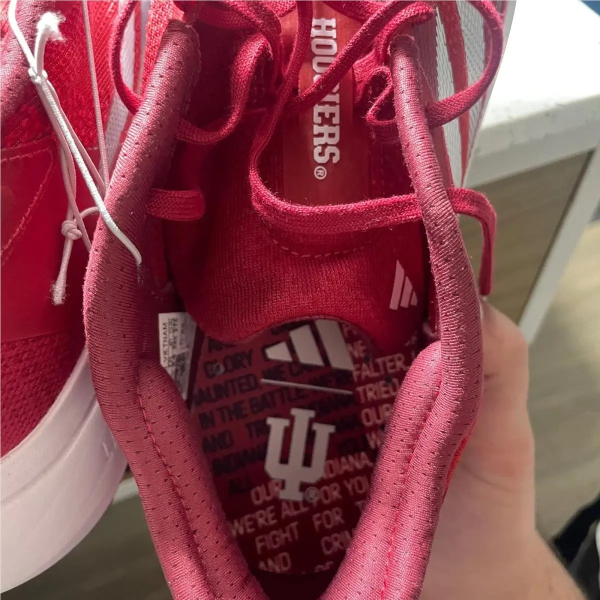 Adidas shoes - adidas Adizero SL 2 - Adizero - Red 5