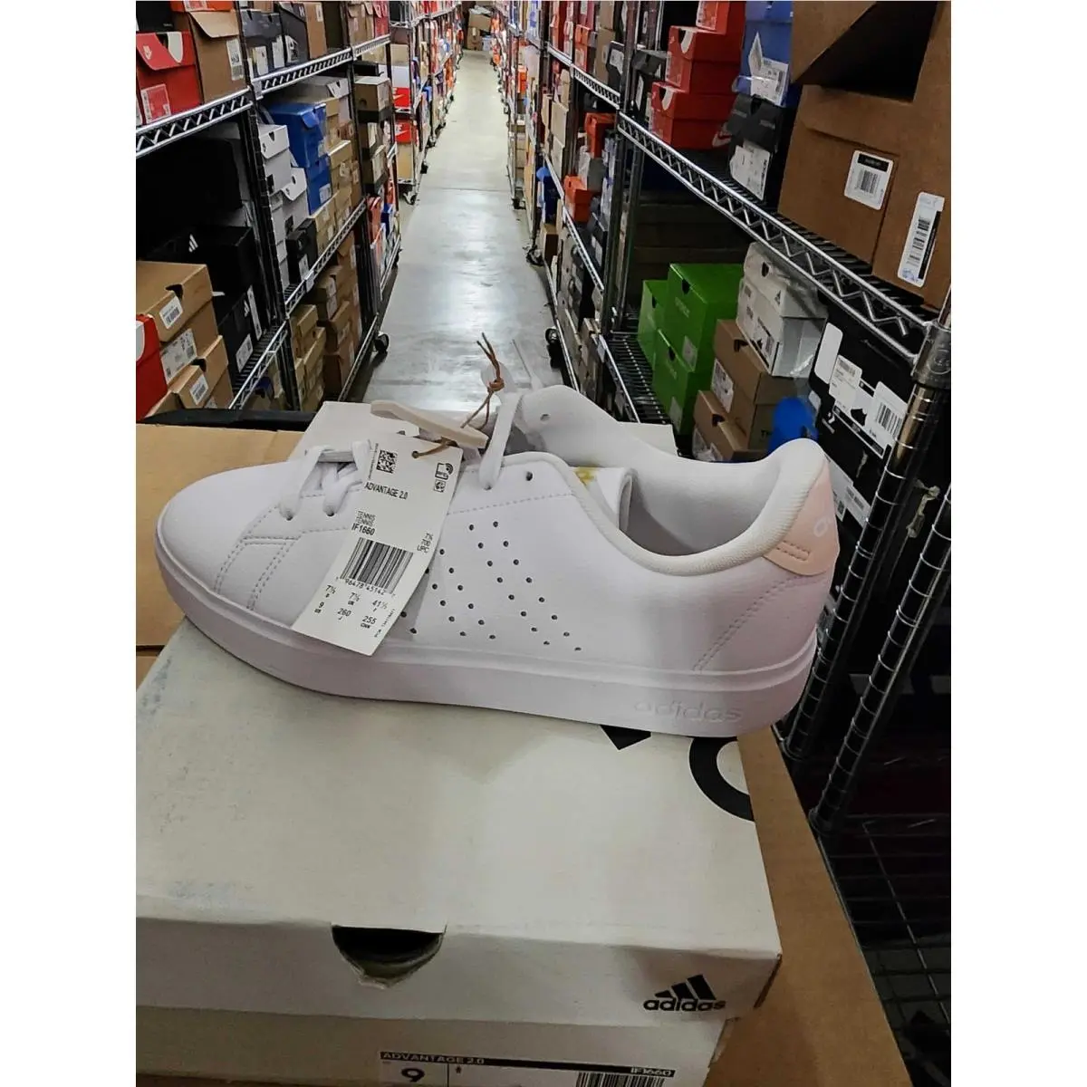 Adidas shoes - White 1