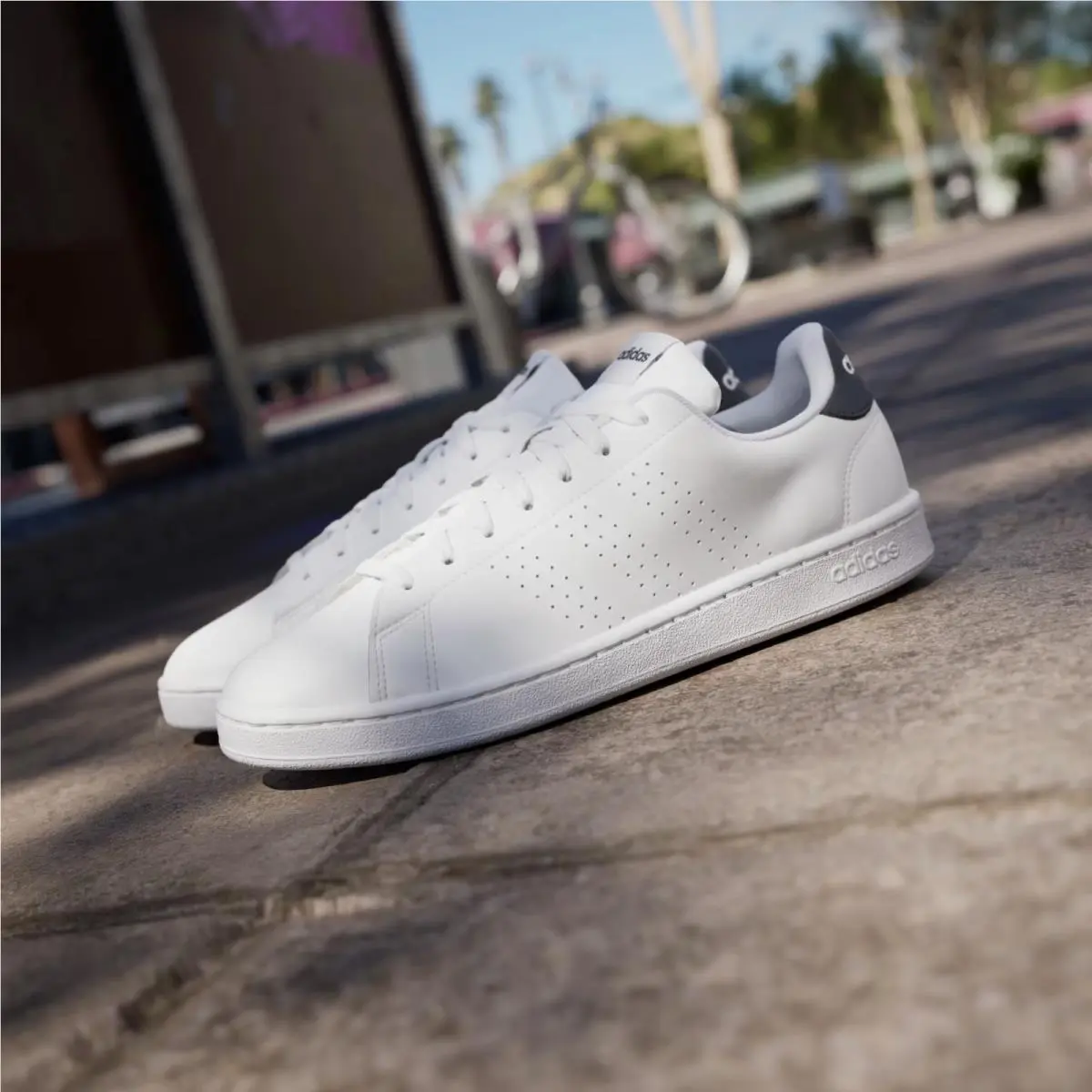 Adidas shoes - adidas Advantage - Advantage - White 0