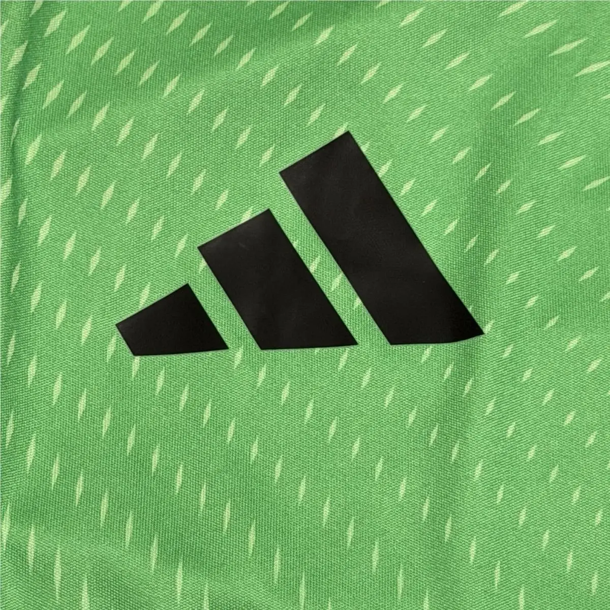 Adidas clothing - Tiro 25 Pro Goalkeeper - Tiro Pro Goalkeeper - JP4369 - Green, Black 2
