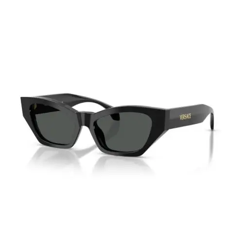 Versace Women`s 53mm Black Sunglasses VE4488U-GB1-53