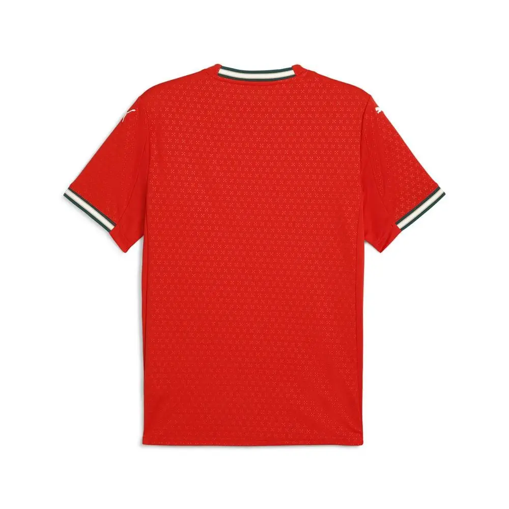 Puma clothing - PUMA Fpf Crew Neck Short Sleeve Soccer Jersey - 77919001 - Red (UPC: 197674121381) 0