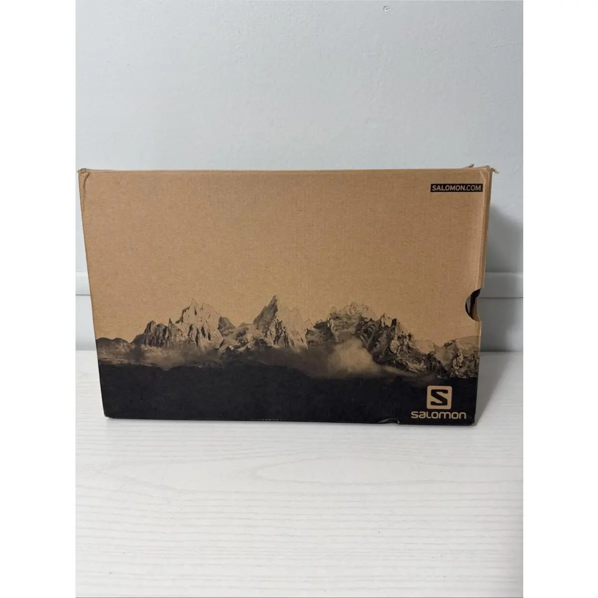 Salomon shoes - Salomon Techamphibian - Techamphibian - 373267 38 MO - Gray 19