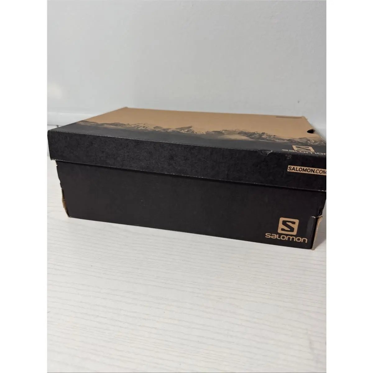 Salomon shoes - Salomon Techamphibian - Techamphibian - 373267 38 MO - Gray 21