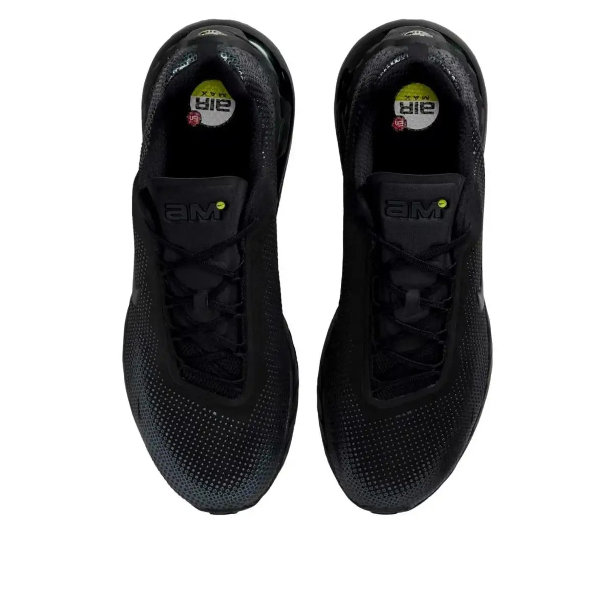 Nike shoes - Nike Air Max Phoenix - Air Max Phoenix - FZ5307 004 - BLACK BLACK ANTHRACITE 0