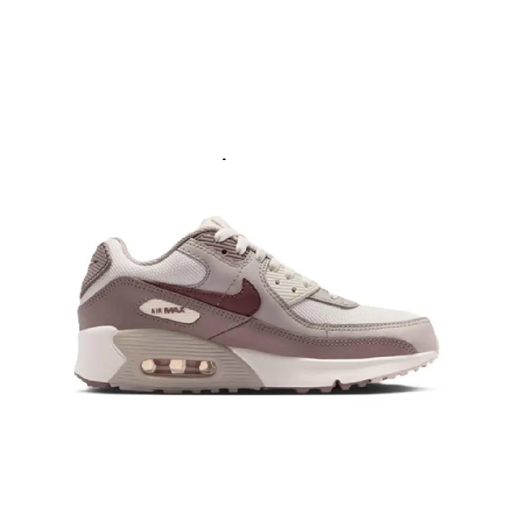 Big Kid`s Nike Air Max 90 Mesh Phantom/tattoo-moon Particle IQ0098 003