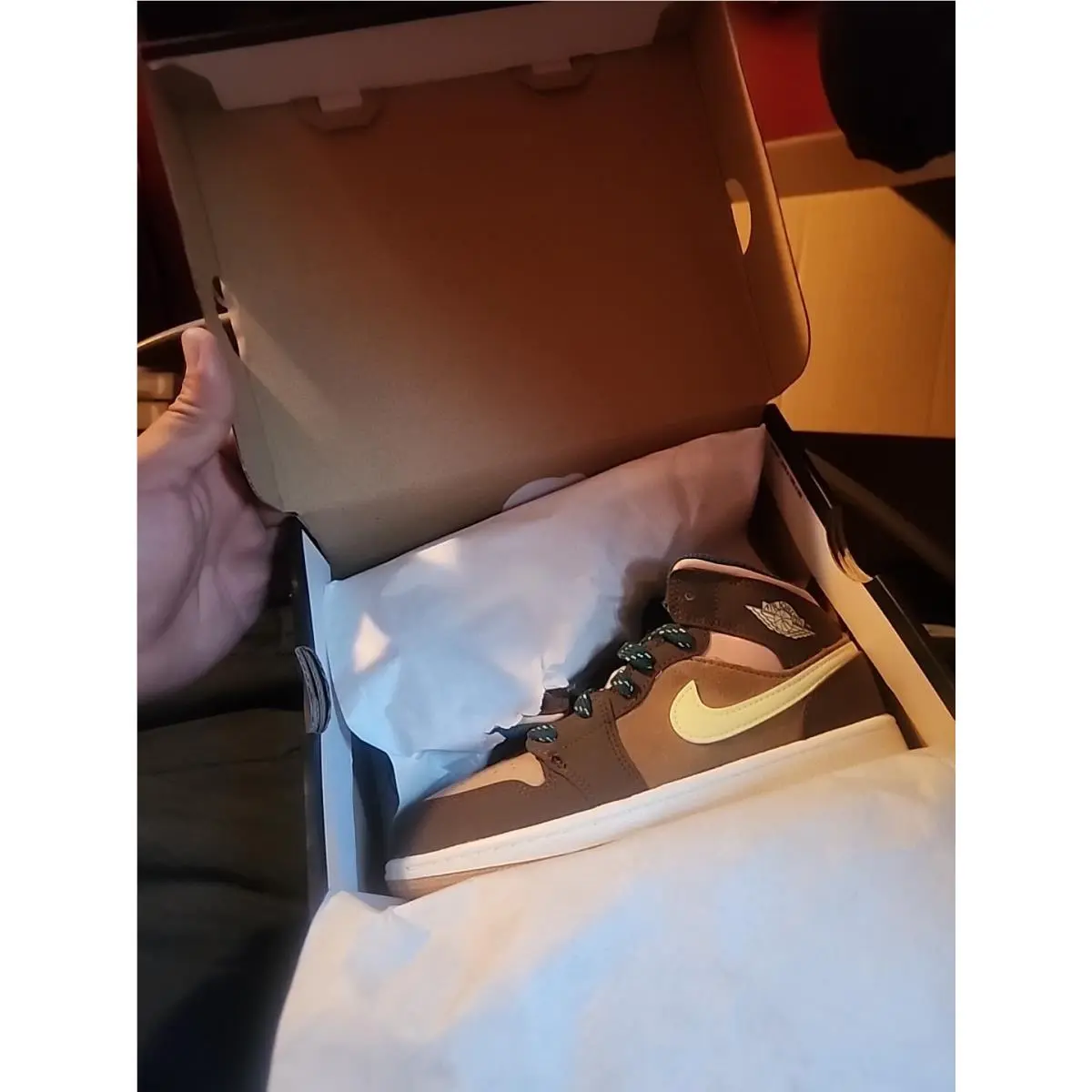 Nike shoes - Air Jordan 1 - Air - Brown 0