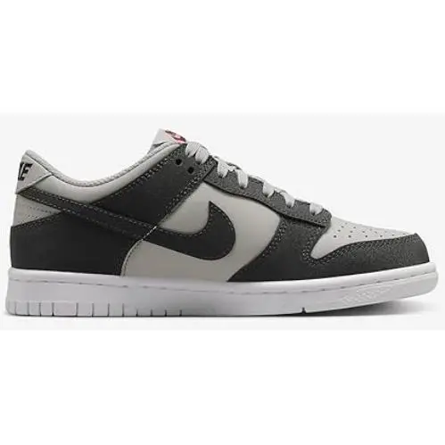 Nike shoes - FZ1000 001 - FZ1000 001 - LT Iron Ore/Anthracite-White (UPC: 197601208550) 0