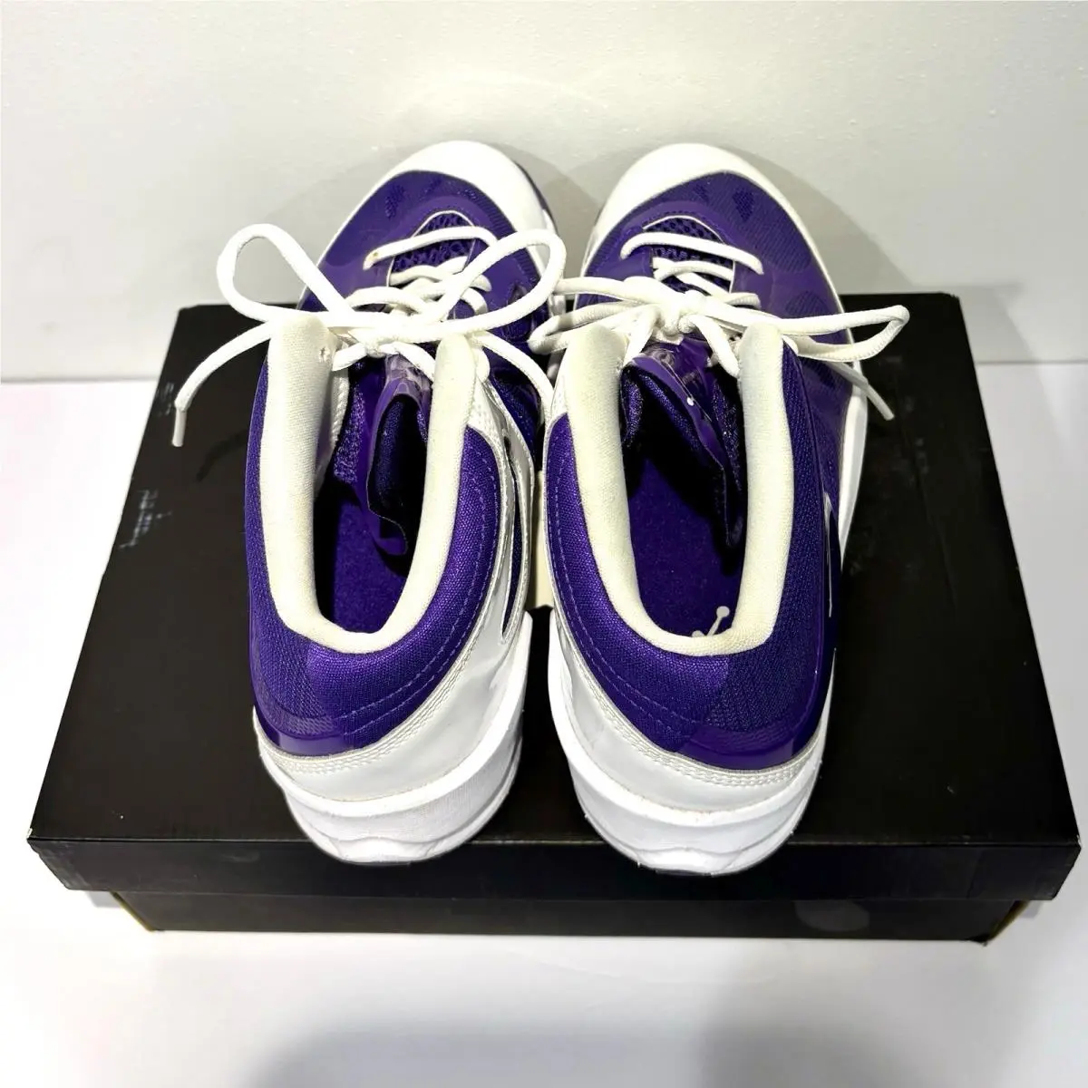 Nike shoes - Jordan Play In These - Play These - Purple / White 2