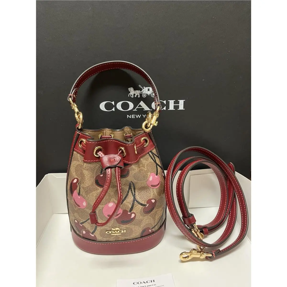 Coach Mini Bucket Bag In Signature Canvas with Cherry Print CY738