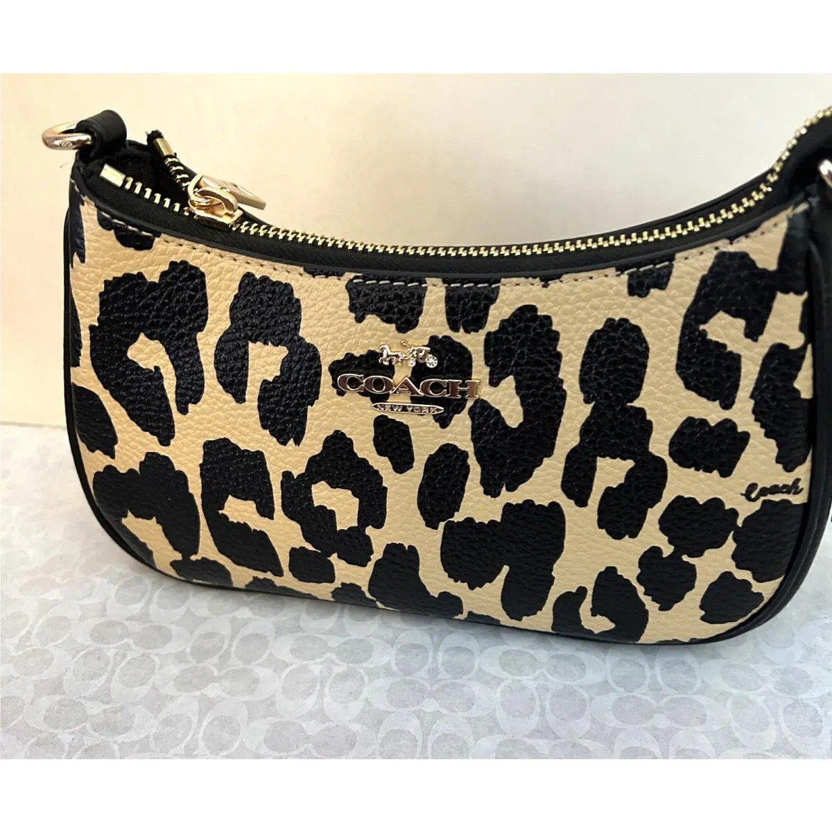 Coach Teri Mini Crossbody Bag with Leopard Print CBG65