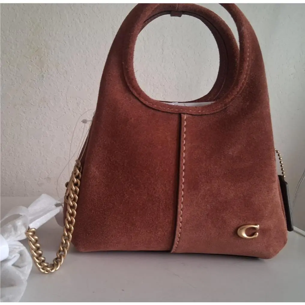 Suede Lana 19 Leather Crossbody or Top Handle Ccy 33 Clay by Coach