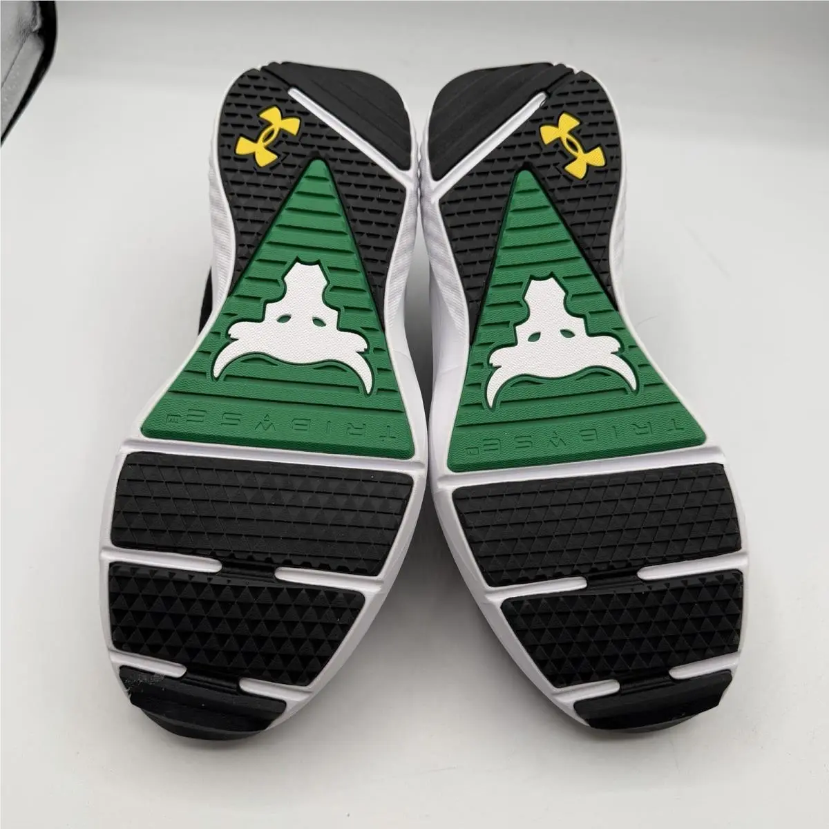 Under Armour shoes - Under Armour Project Rock BSR 5 - 3028283-004 - Black 8