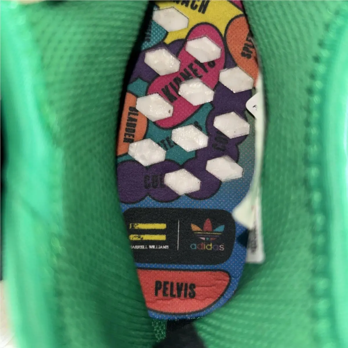 Adidas shoes - adidas NMD Human Race - NMD Human Race - BB0620 - Green (UPC: 0889767244779) 5