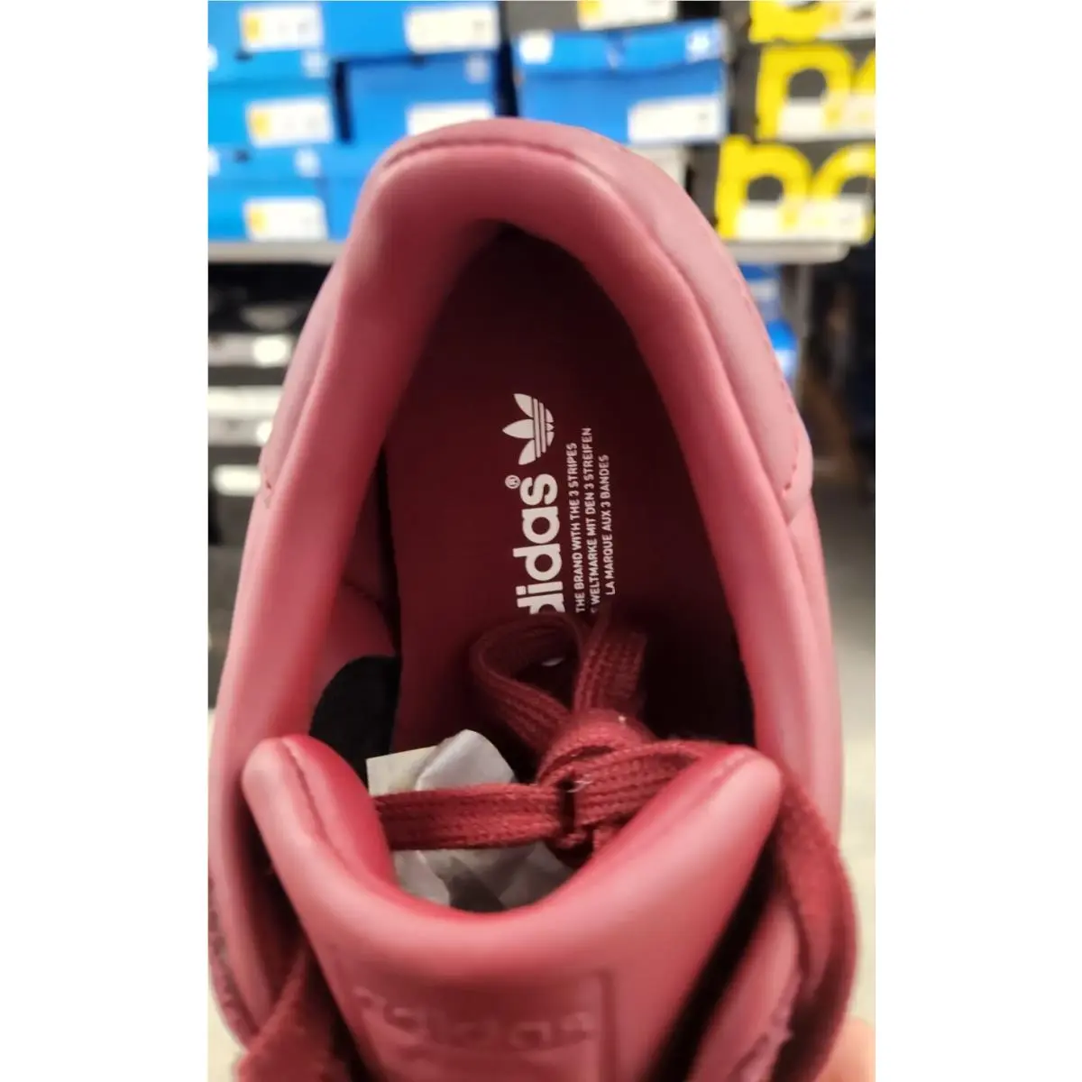 Adidas shoes - adidas Superstar - Superstar - BZ0644 - Red 5