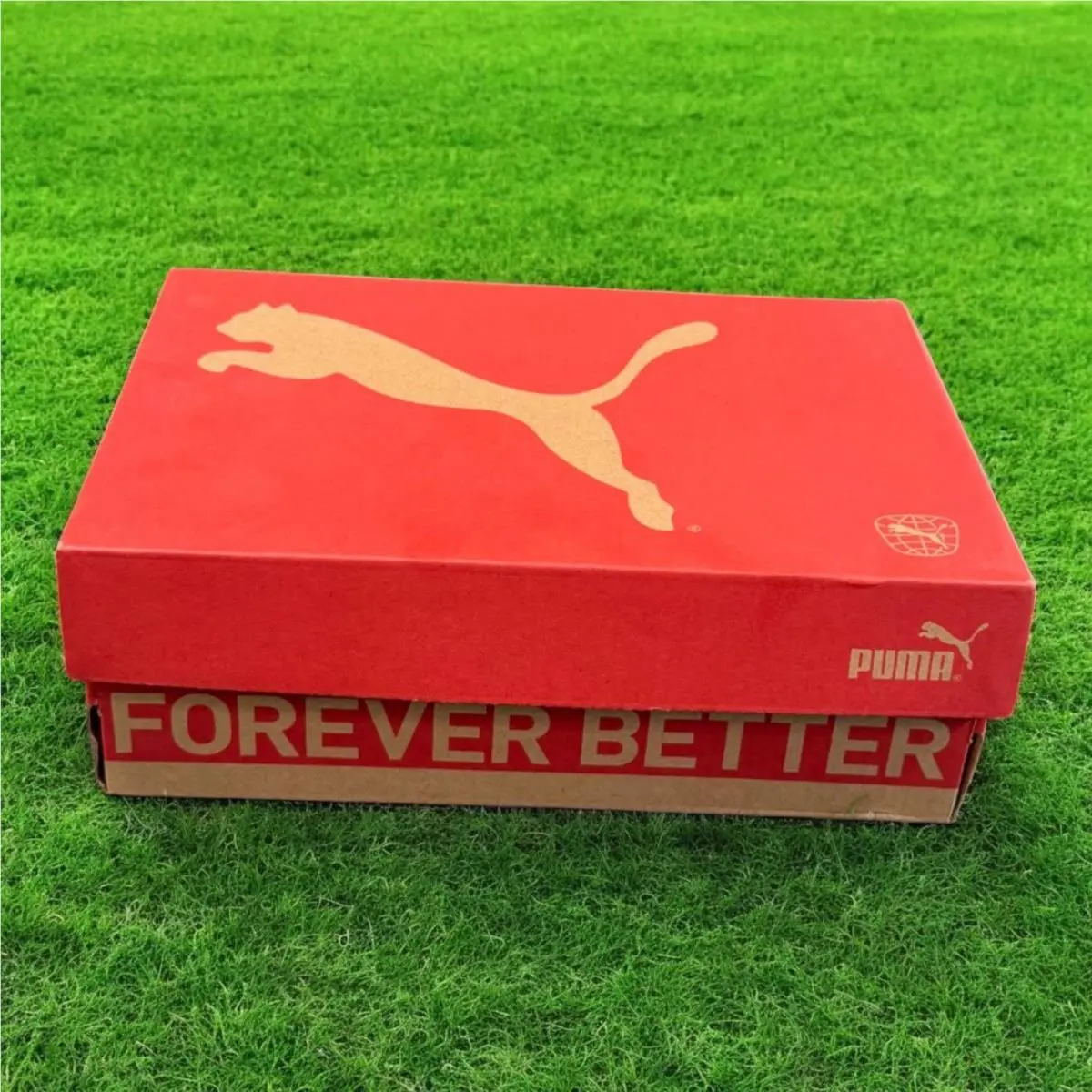 Puma shoes - PUMA Future - Future - Blue 5