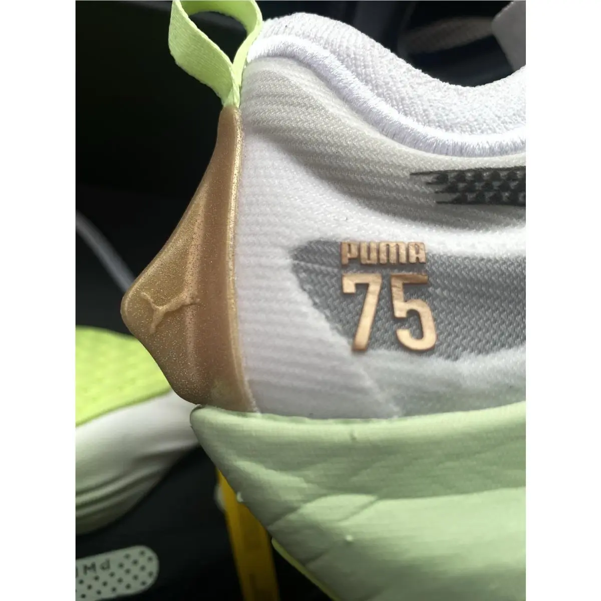 Puma shoes - PUMA Fast-R NITRO ™ Elite 75th - White 5