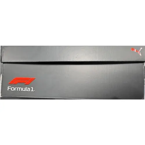 Puma shoes - F1 Formula 1 Future Cat - Gray 8