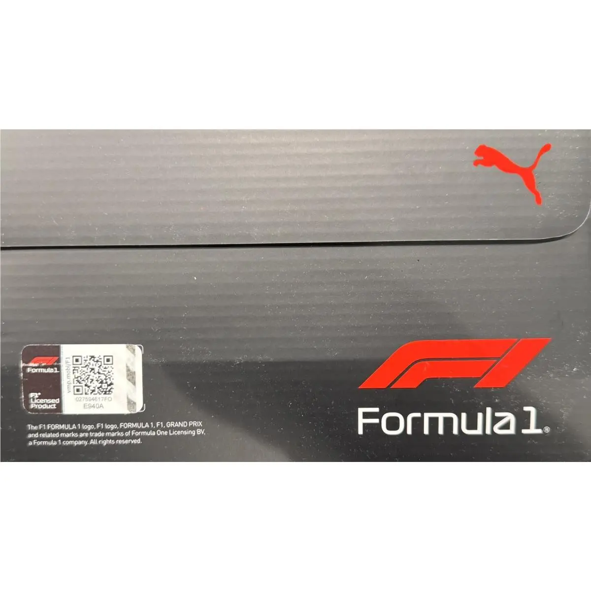 Puma shoes - F1 Formula 1 Future Cat - Gray 9