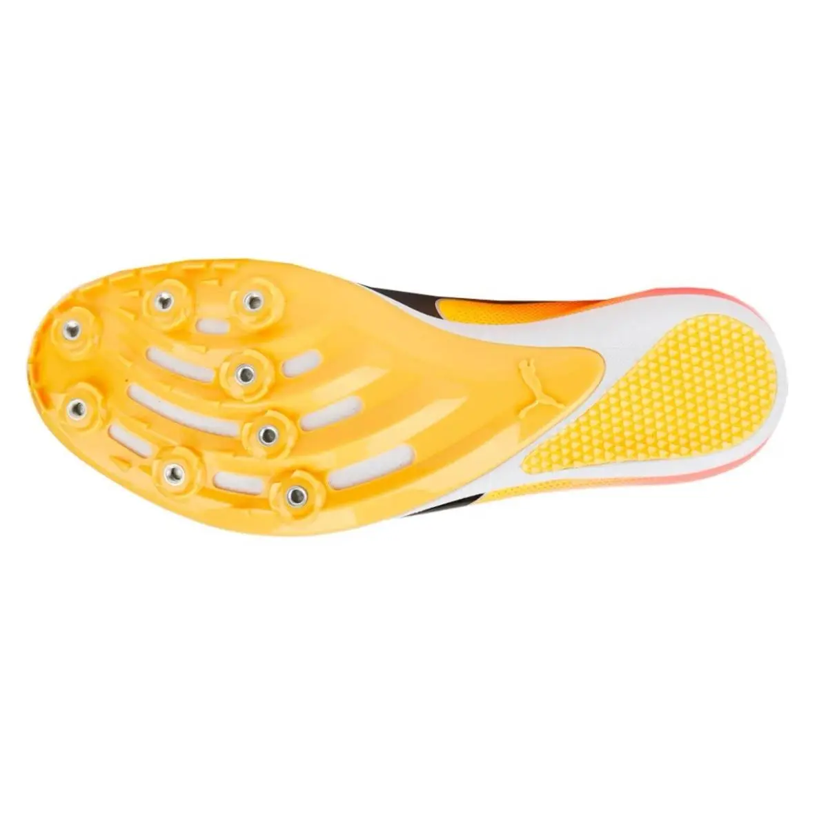 Puma shoes - PUMA evoSpe d - evoSpe - 377001-01 - Yellow 5
