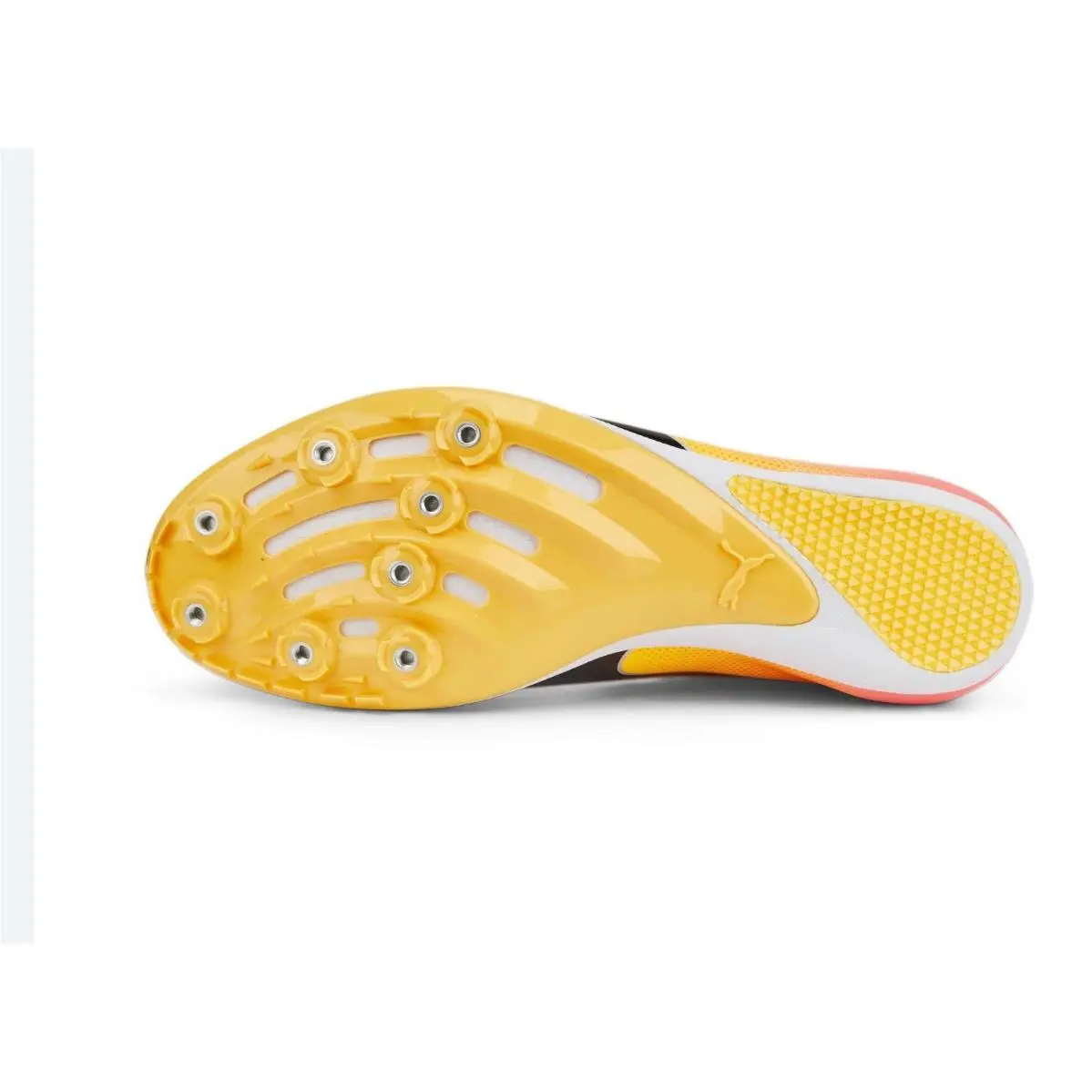 Puma shoes - PUMA evoSpe d - evoSpe - 377001-01 - Yellow 3