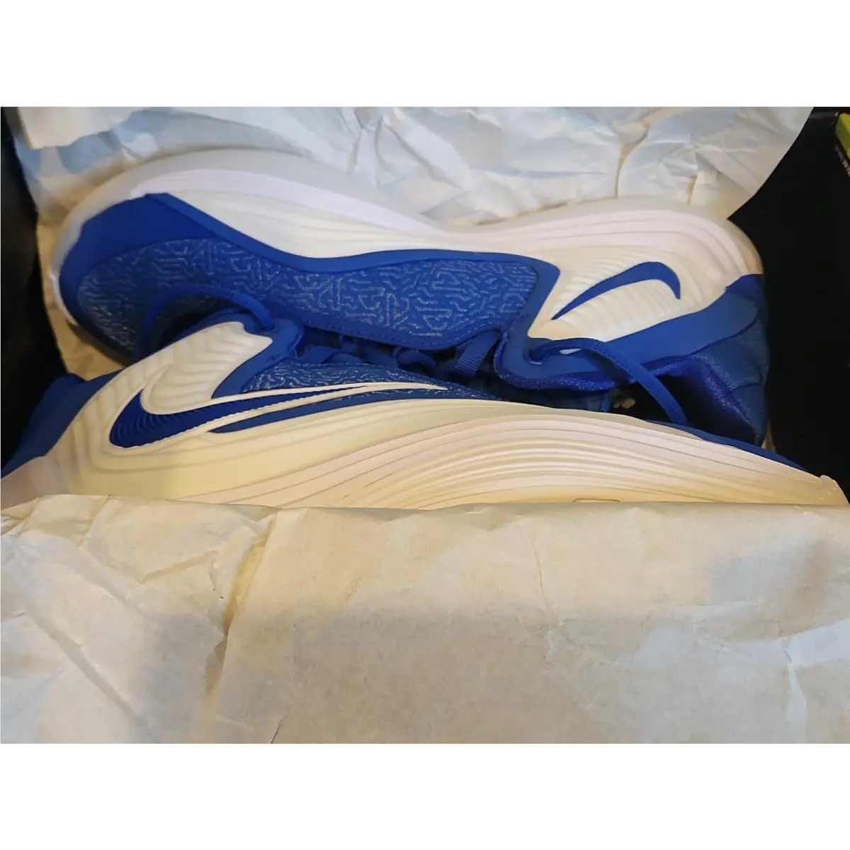 Nike shoes - Nike Zoom Freak - Zoom Freak - Blue 4