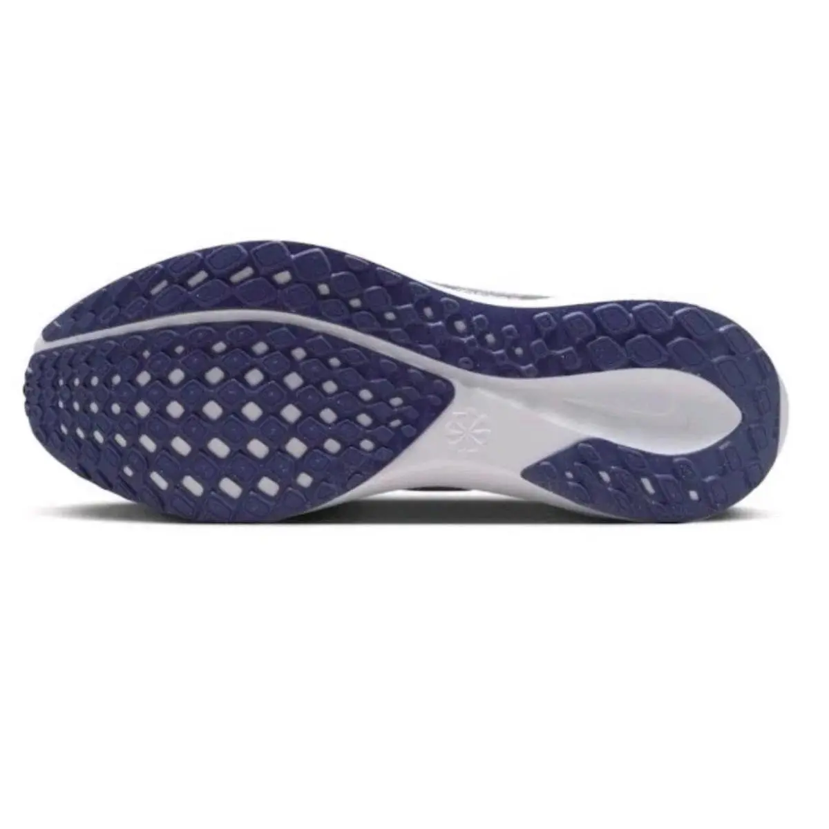 Nike shoes - Nike Air Zoom Pegasus 41 - FZ5108-500 - Purple 4
