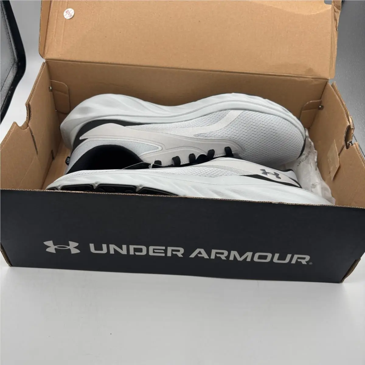 Under Armour shoes - UA Ascend - Ascend - Gray 2