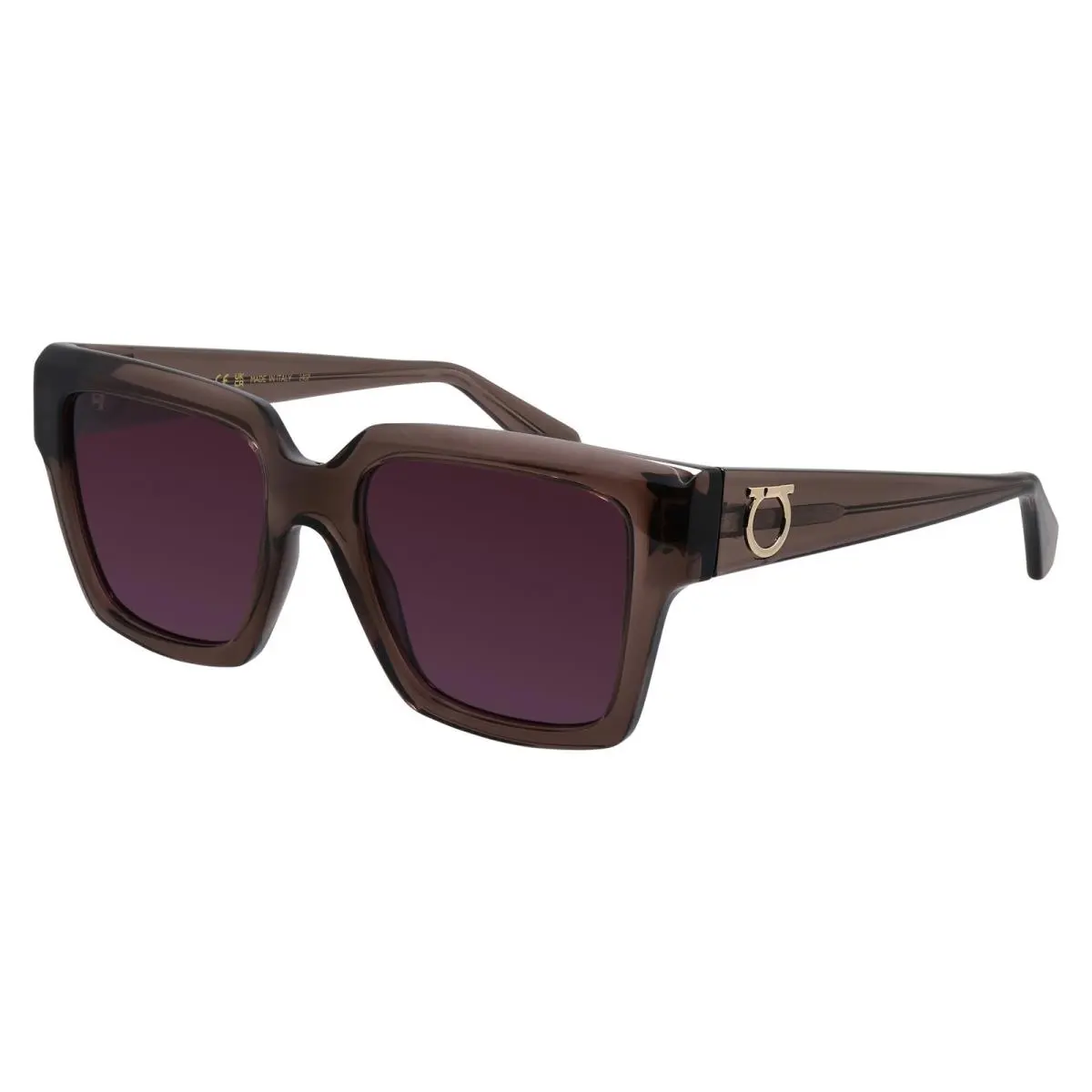 Salvatore Ferragamo SF 2014S 511 Transparent Mauve Acetate Sunglasses Green