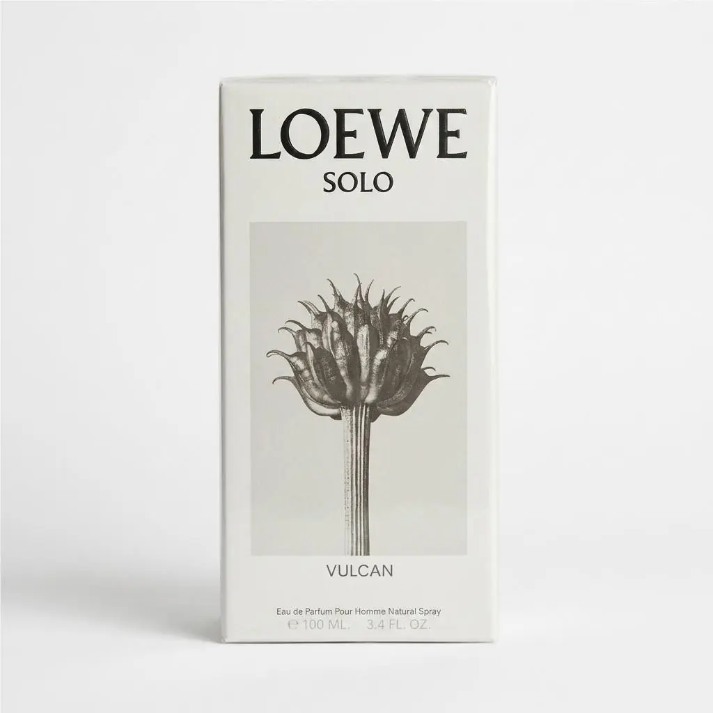 Loewe Solo Vulcan Pour Homme Eau DE Toilette Spr 100 ML/3.4 Fl.oz