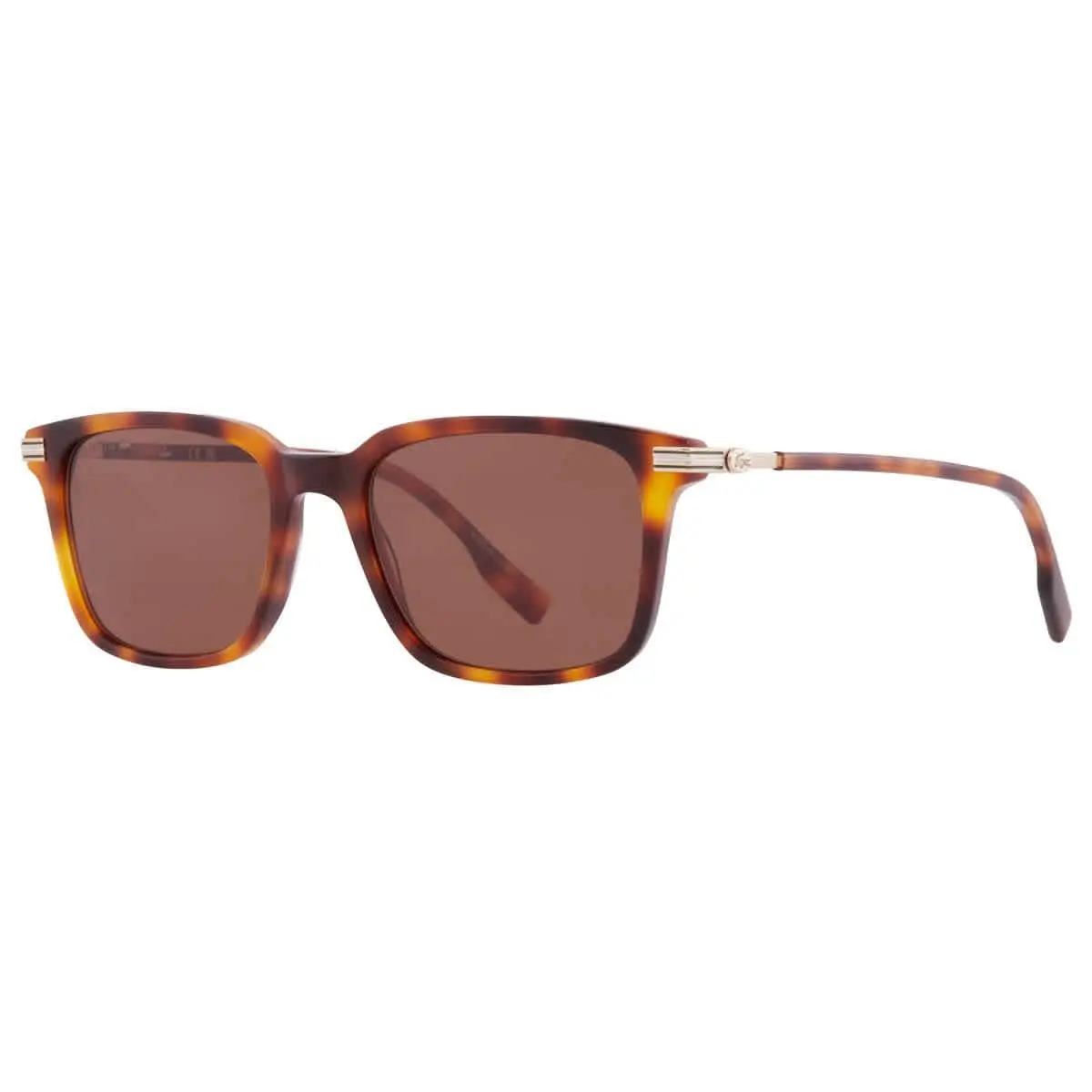 Brown Square Men`s Sunglasses L6035S 214 53 L6035S 214 53 by Lacoste