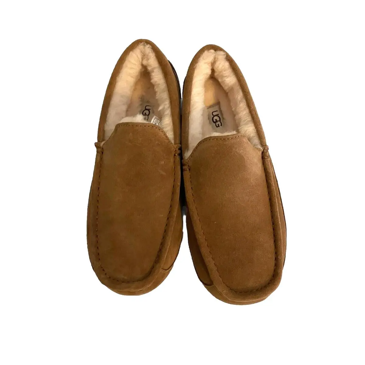 UGG shoes - Ascot - Ascot - Brown 0