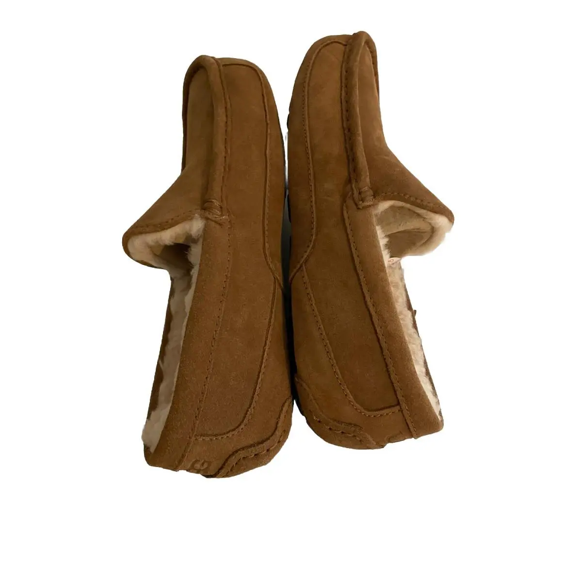 UGG shoes - Ascot - Ascot - Brown 1