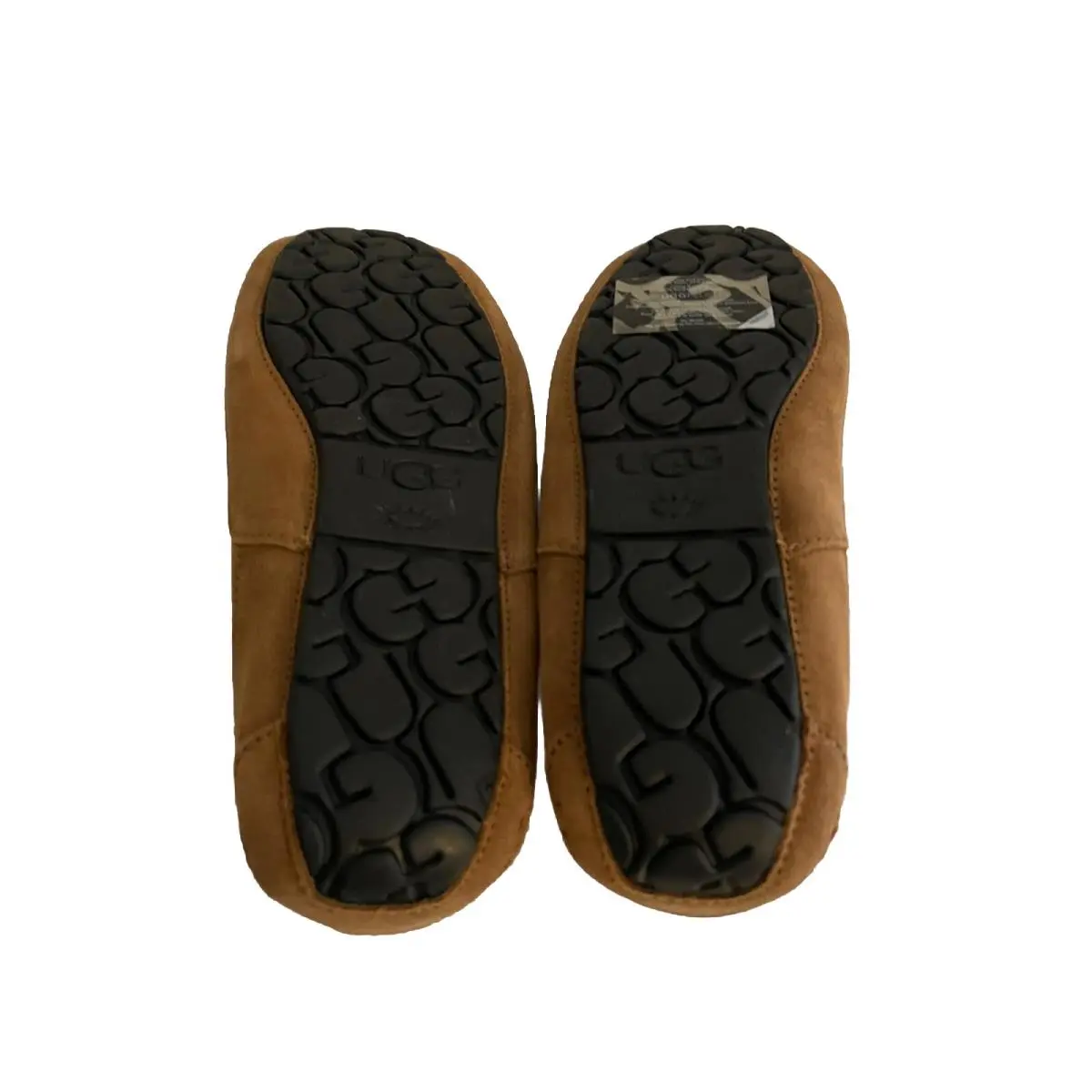 UGG shoes - Ascot - Ascot - Brown 3
